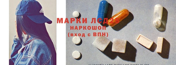 стаф Верея