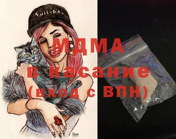 стаф Тайга