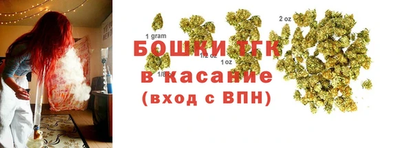 стаф Верея