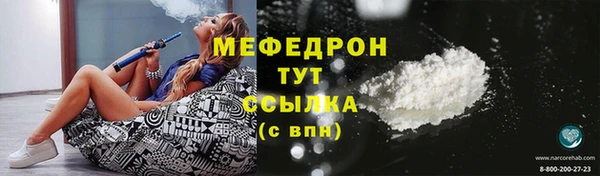 стаф Тайга