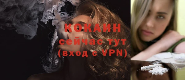 стаф Верея