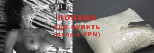 стаф Верея