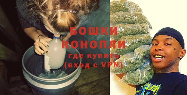 стаф Верея