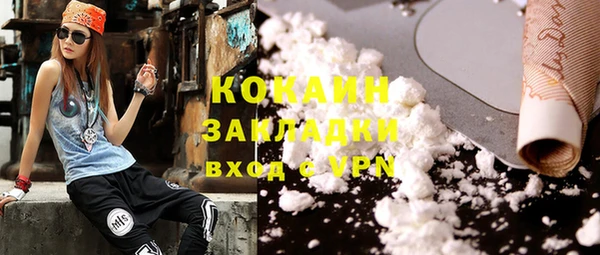 стаф Верея