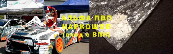 стаф Верея