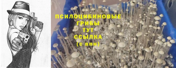 Альфа ПВП Верхний Тагил